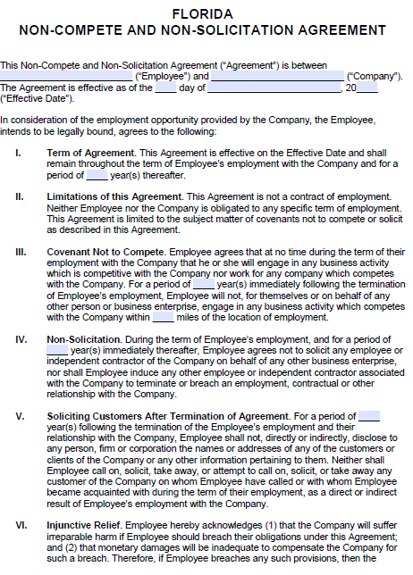 Florida Non Compete Non Solicitation Agreement PDF Word